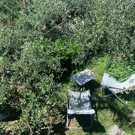 Portofino View 3* Zoagli