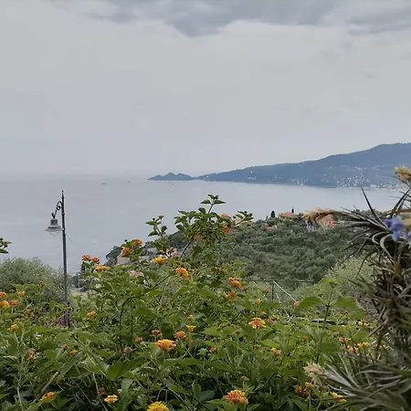 Portofino View