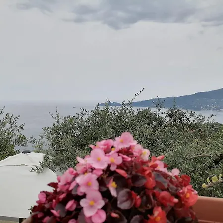 Portofino View Zoagli