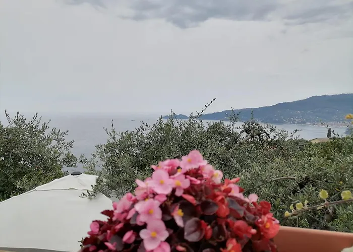 Portofino View Zoagli